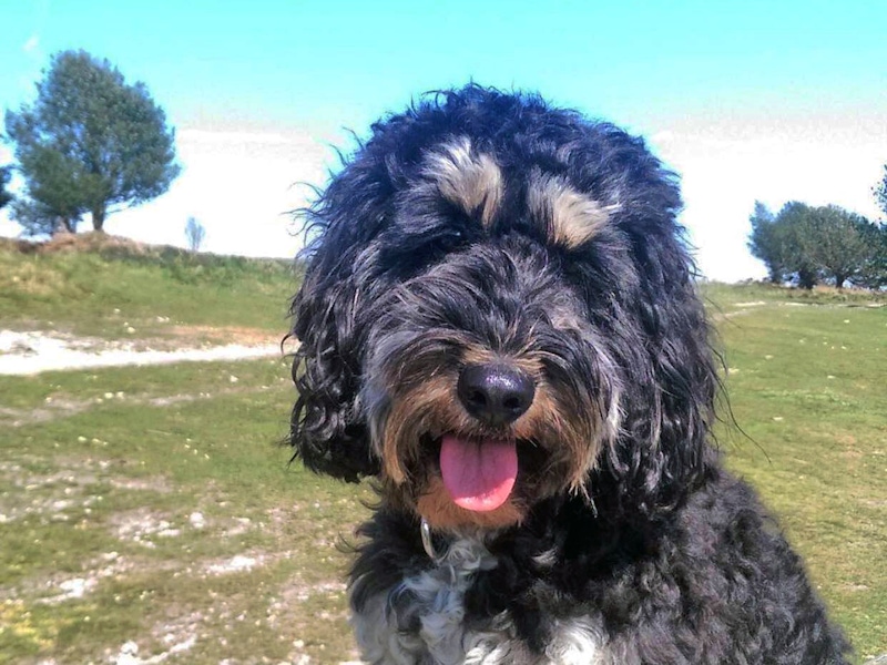 101576516 1917001365097749 4774465961845587968 n