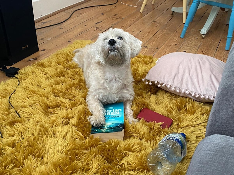 4ebe430f 945e 4253 900c d823bf1b8418