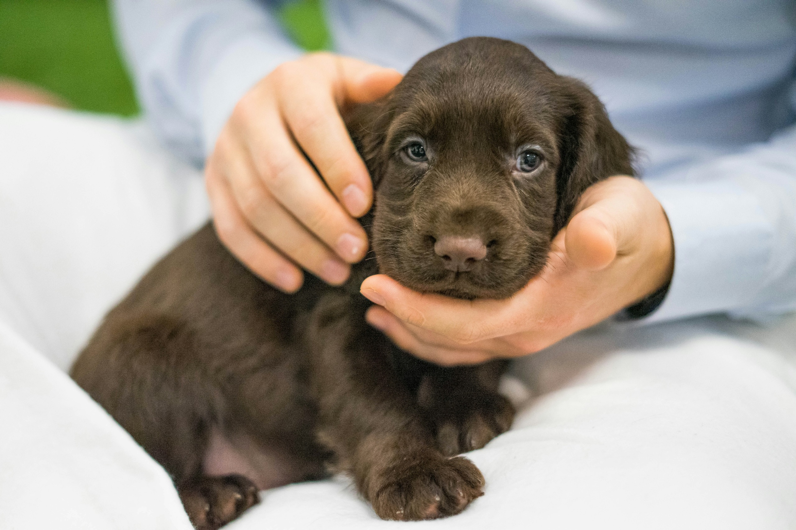 5 ways to make employee wellbeing your priority Charles River 11