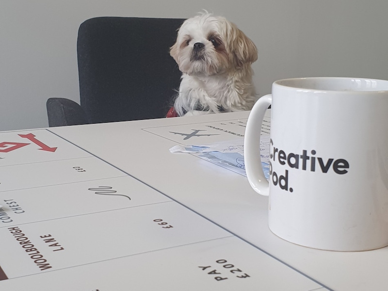Bonnie in the meeting room