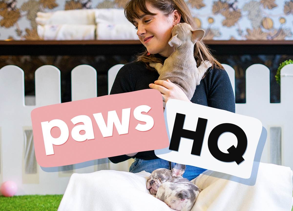 Inside paws hq - march