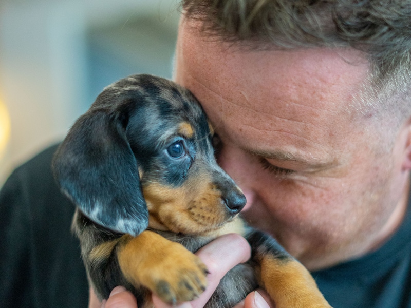 Can humans have separation anxiety from their pets 202109 Preqin 08851 HW