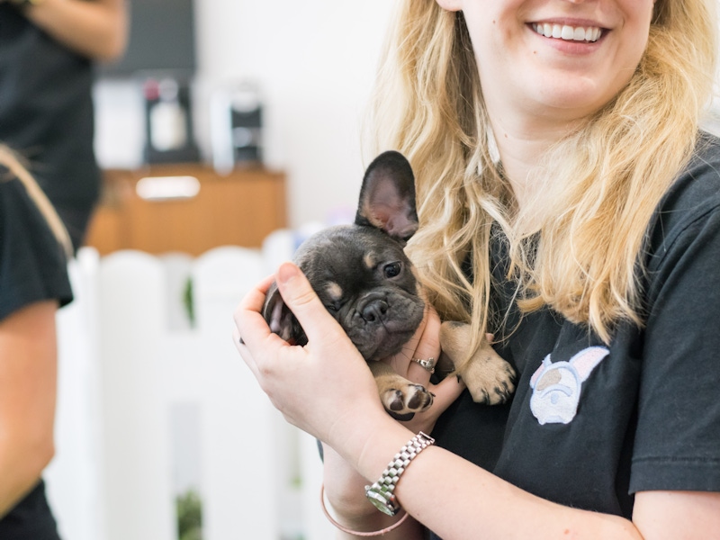 20203 PIW i Q Student 385