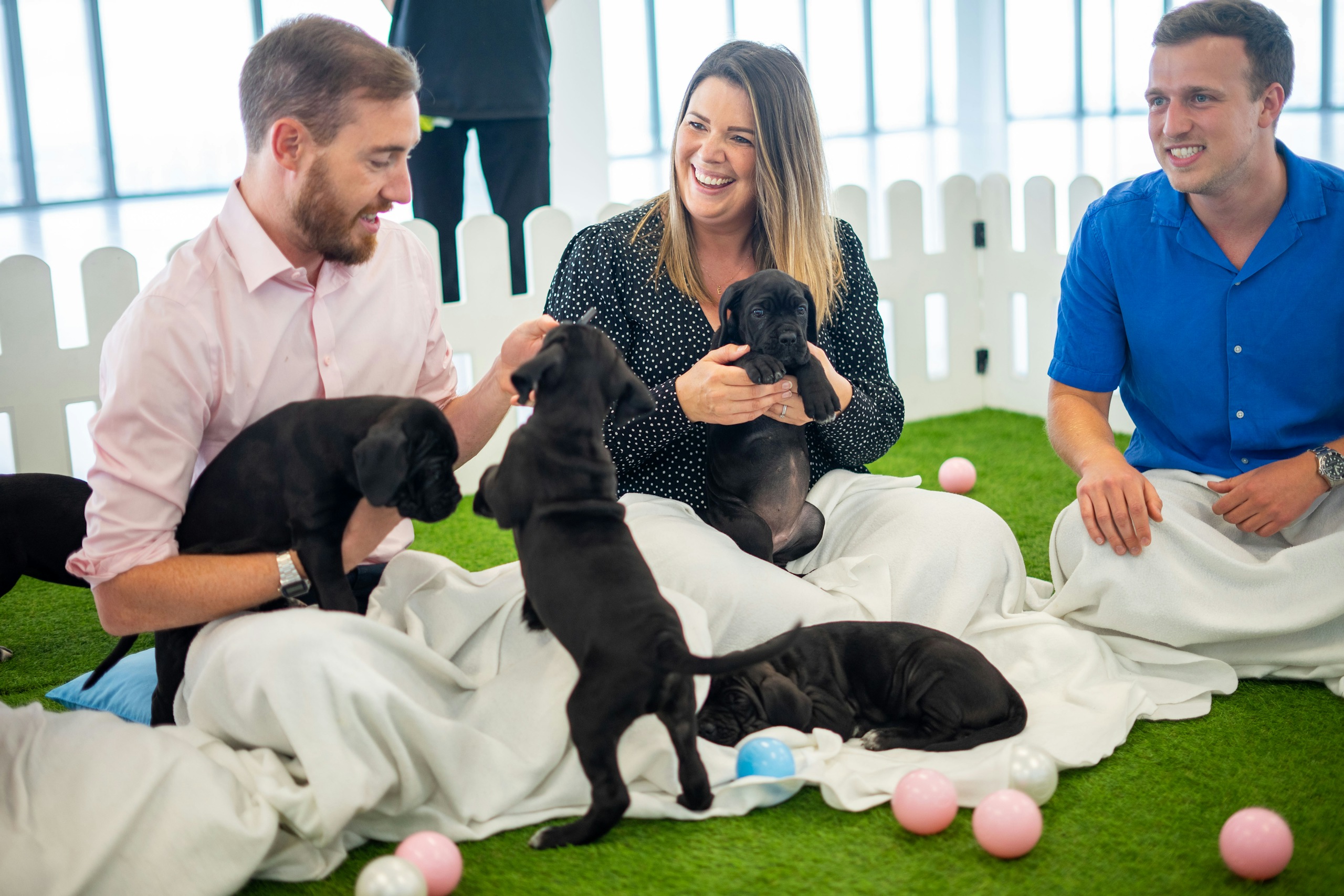 mental health first aid training paws in work