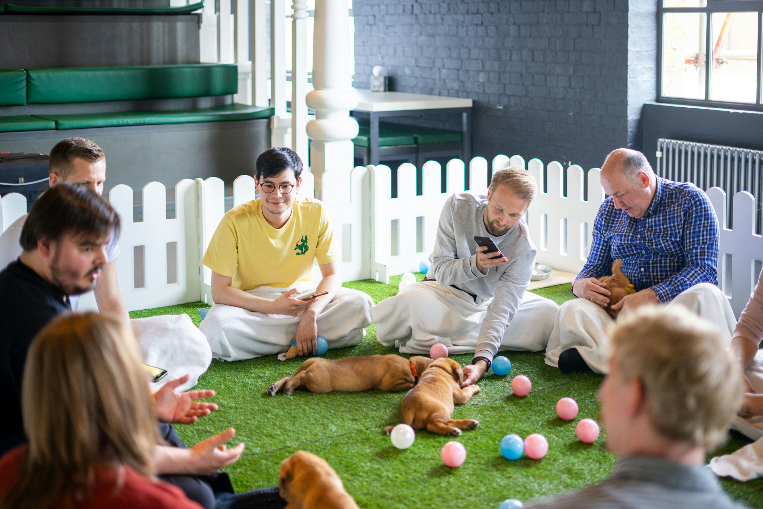 mental health first aid training paws in work