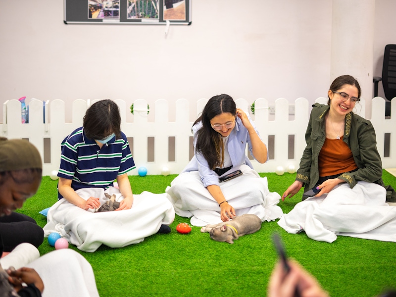 why employees and students love puppy therapy