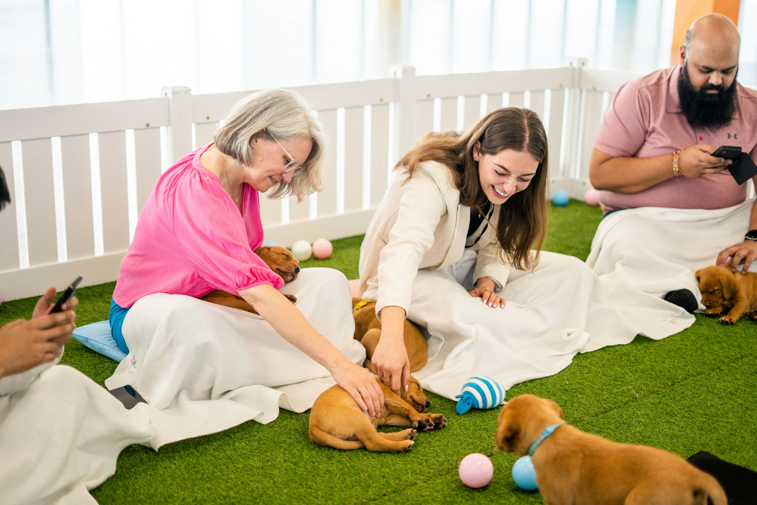 Paws in Work puppy therapy session