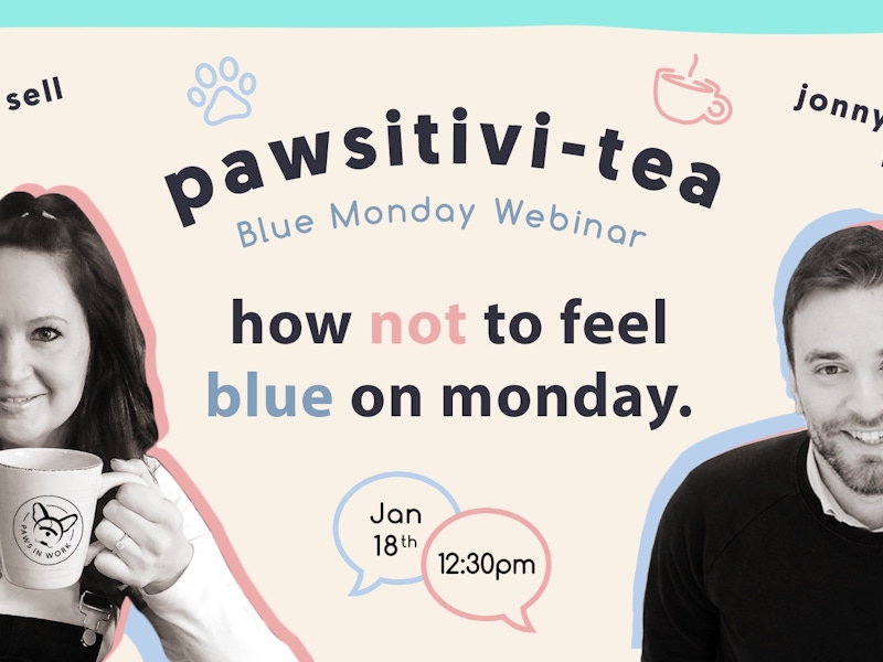 Blue Monday Webinar Banner