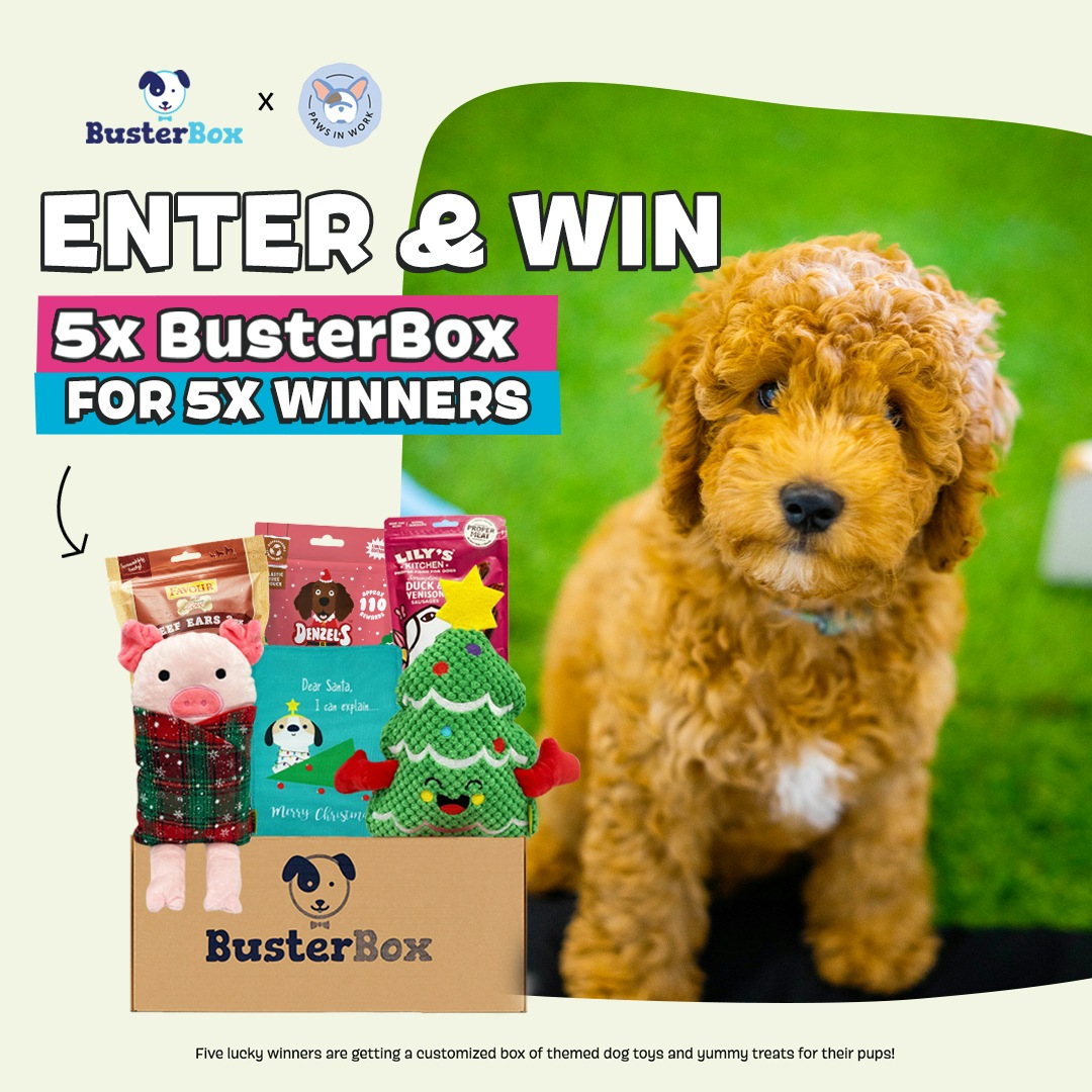 Paws in Work x BusterBox Competition