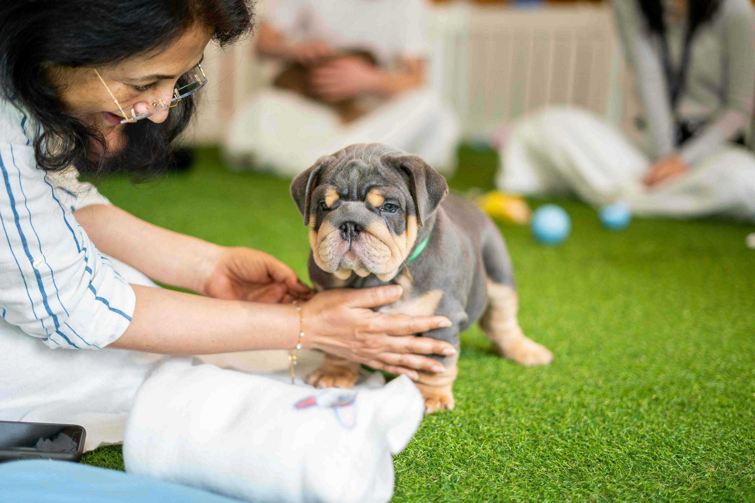 Paws In Work If My Puppy Cries Should I Pick Them Up paws-in-work-if-my-puppy-cries-should-i-pick-them-up