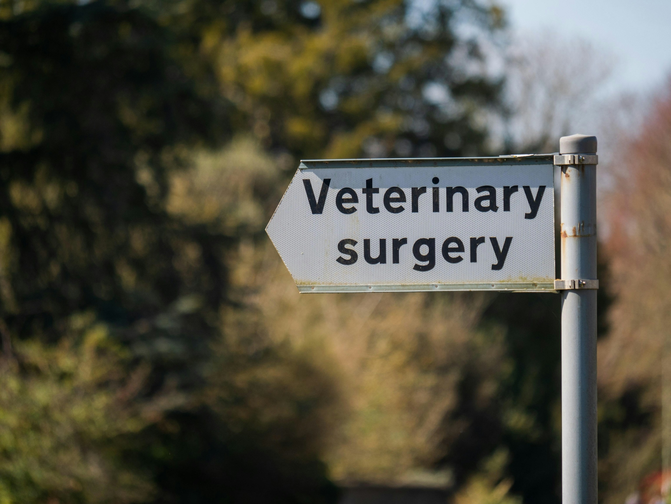 supporting the wellbeing within the veterinary industry